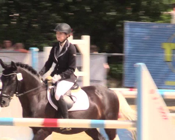 Reitturnier Schwerte-Gut Kückshausen 2017