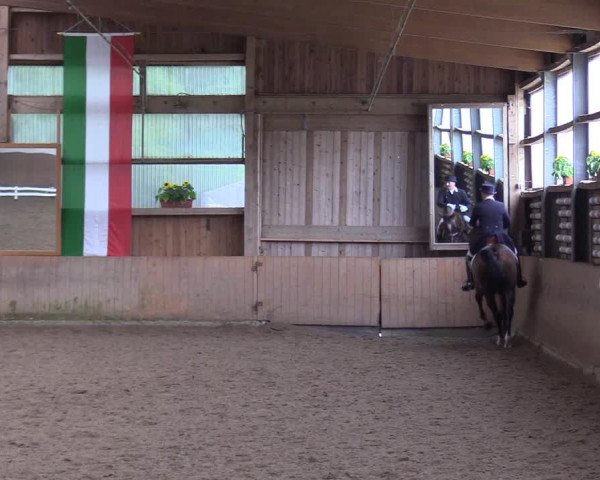 Reitturnier Schwerte-Gut Kückshausen 2017