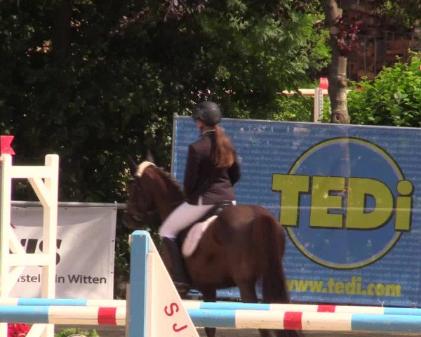 Reitturnier Schwerte-Gut Kückshausen 2017