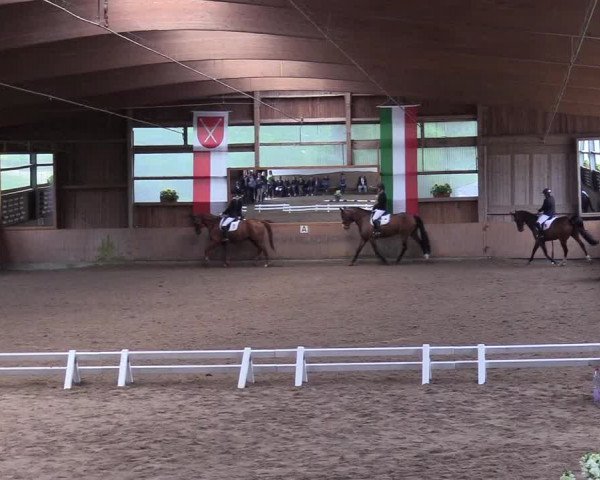 Reitturnier Schwerte-Gut Kückshausen 2017