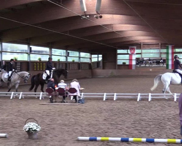 Reitturnier Schwerte-Gut Kückshausen 2017