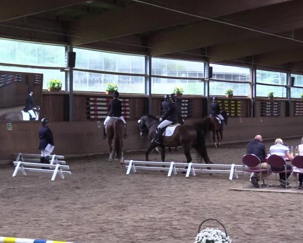 Reitturnier Schwerte-Gut Kückshausen 2017