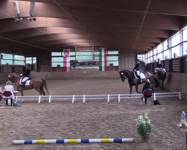 Reitturnier Schwerte-Gut Kückshausen 2017