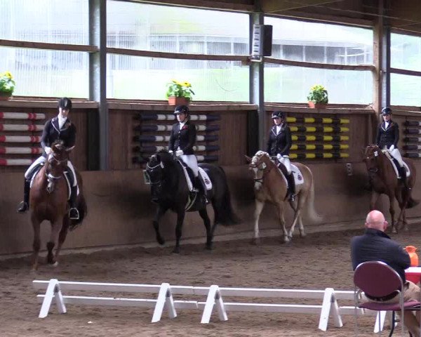Reitturnier Schwerte-Gut Kückshausen 2017