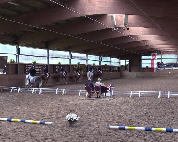 Reitturnier Schwerte-Gut Kückshausen 2017