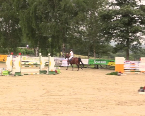 Reitturnier Schwerte-Gut Kückshausen 2017