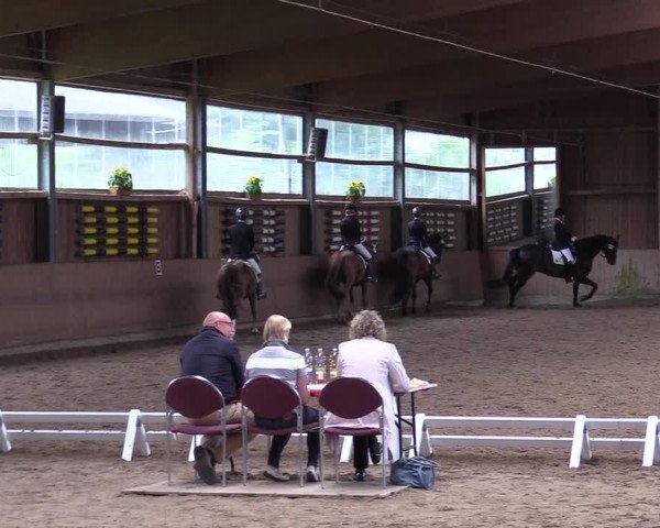 Reitturnier Schwerte-Gut Kückshausen 2017
