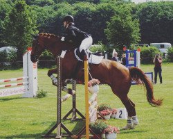 broodmare Fantissima 4 (Rhinelander, 2001, from Fidermark)