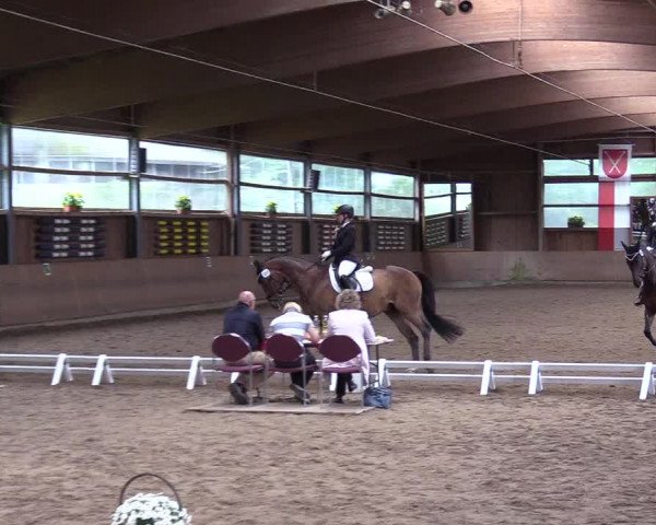 Reitturnier Schwerte-Gut Kückshausen 2017