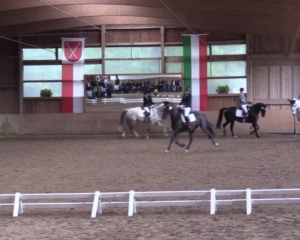 Reitturnier Schwerte-Gut Kückshausen 2017
