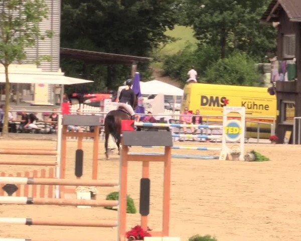 Reitturnier Schwerte-Gut Kückshausen 2017