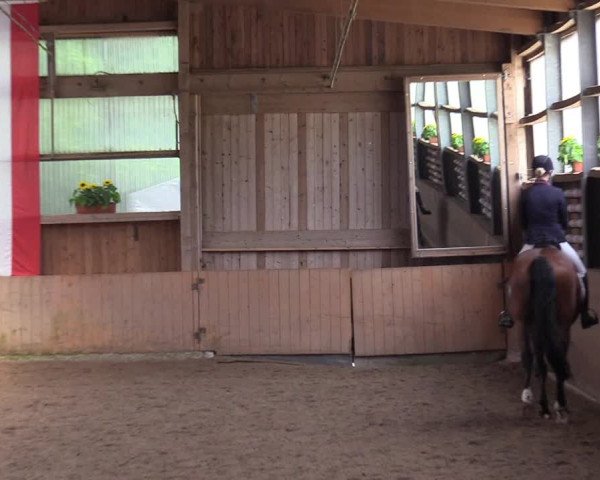 Reitturnier Schwerte-Gut Kückshausen 2017