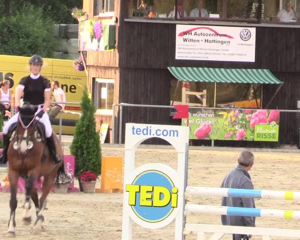 Reitturnier Schwerte-Gut Kückshausen 2017