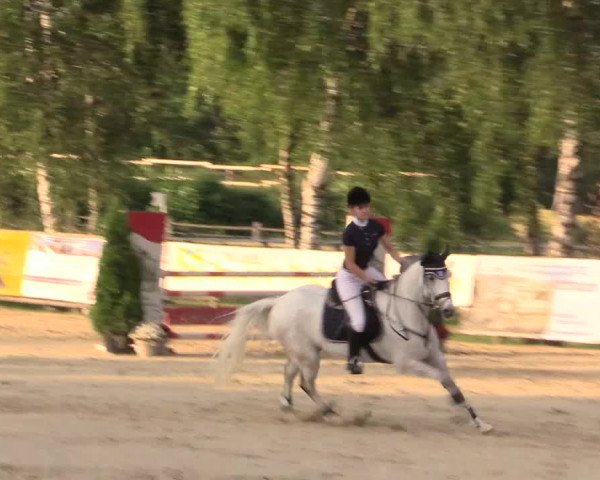 Reitturnier Schwerte-Gut Kückshausen 2017