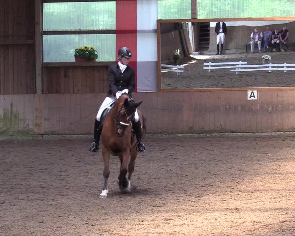 Reitturnier Schwerte-Gut Kückshausen 2017