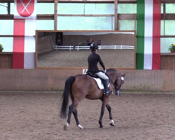 Reitturnier Schwerte-Gut Kückshausen 2017