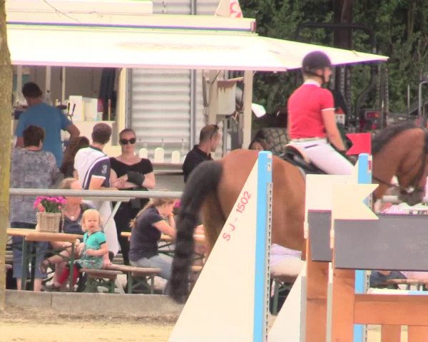 Reitturnier Schwerte-Gut Kückshausen 2017