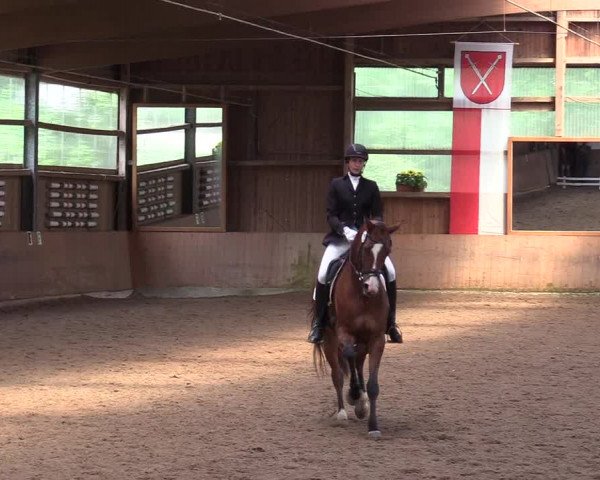 Reitturnier Schwerte-Gut Kückshausen 2017