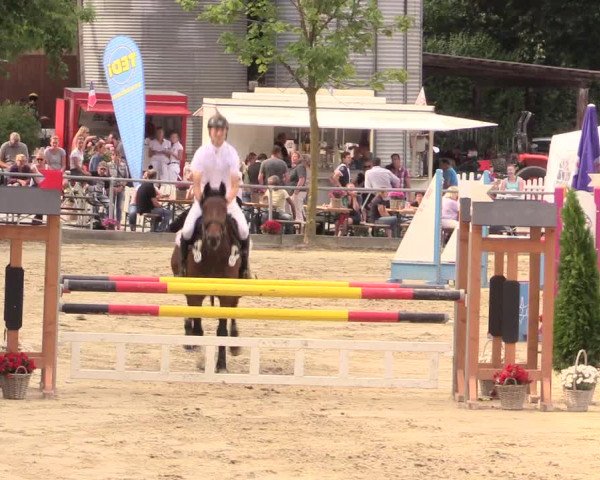 Reitturnier Schwerte-Gut Kückshausen 2017