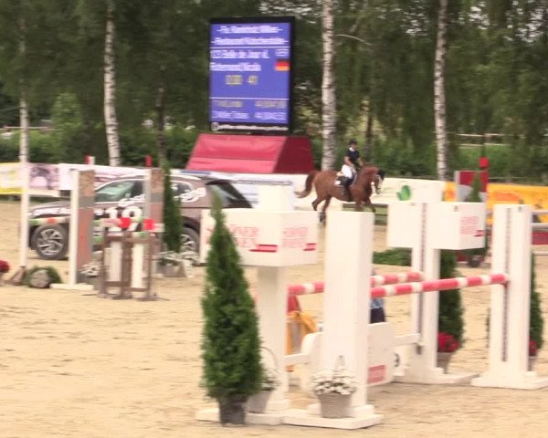 Reitturnier Schwerte-Gut Kückshausen 2017
