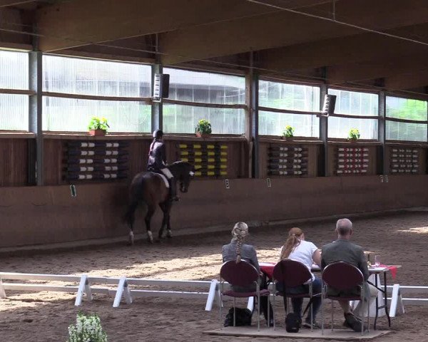 Reitturnier Schwerte-Gut Kückshausen 2017