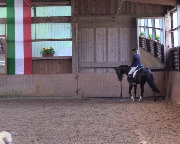 Reitturnier Schwerte-Gut Kückshausen 2017