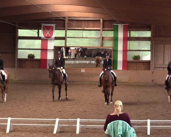 Reitturnier Schwerte-Gut Kückshausen 2017