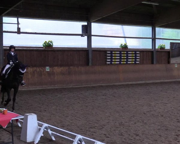 Reitturnier Schwerte-Gut Kückshausen 2017