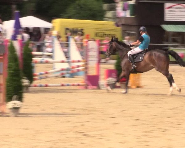 Reitturnier Schwerte-Gut Kückshausen 2017