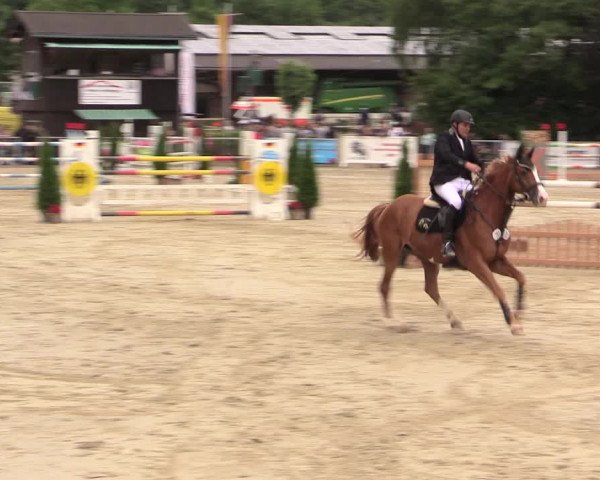 Reitturnier Schwerte-Gut Kückshausen 2017