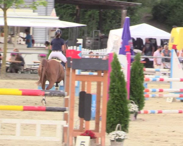 Reitturnier Schwerte-Gut Kückshausen 2017