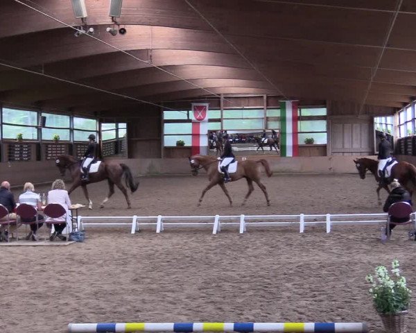 Reitturnier Schwerte-Gut Kückshausen 2017