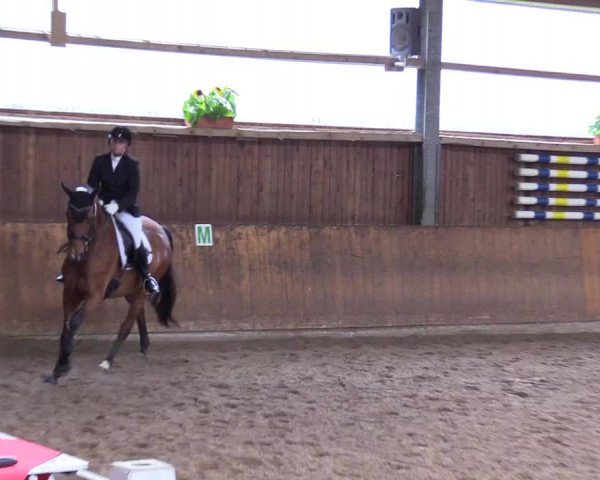 Reitturnier Schwerte-Gut Kückshausen 2017
