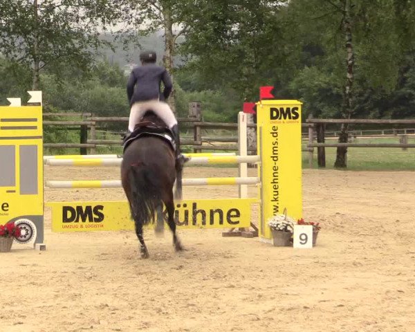 Reitturnier Schwerte-Gut Kückshausen 2017