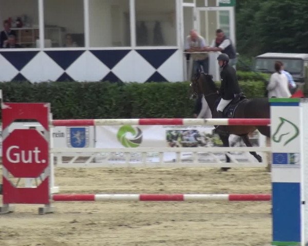 Reitturnier Heinsberg 2017