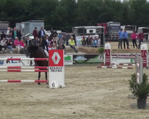 Reitturnier Heinsberg 2017