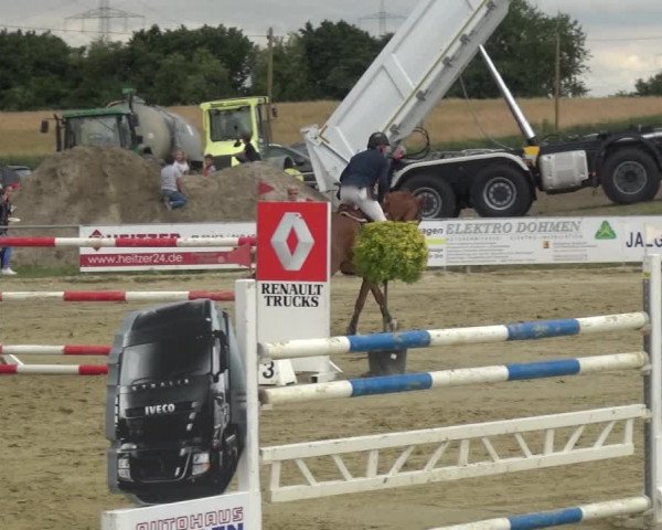 Reitturnier Heinsberg 2017