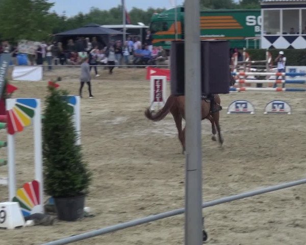Reitturnier Heinsberg 2017