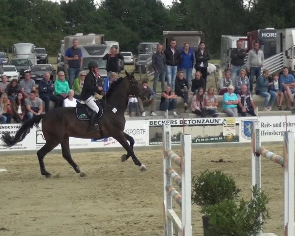 Reitturnier Heinsberg 2017