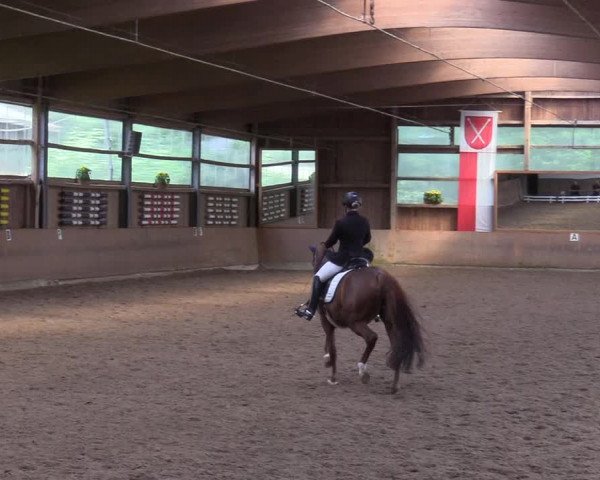 Reitturnier Schwerte-Gut Kückshausen 2017