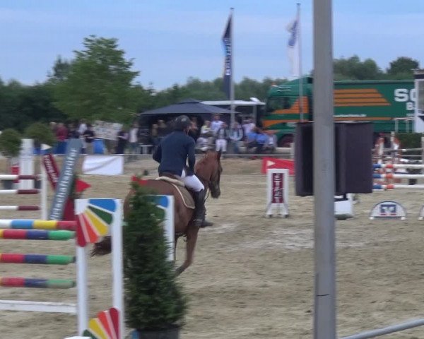 Reitturnier Heinsberg 2017