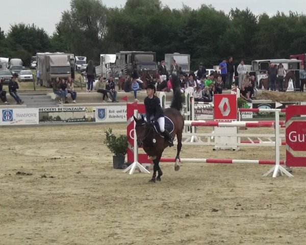 Reitturnier Heinsberg 2017