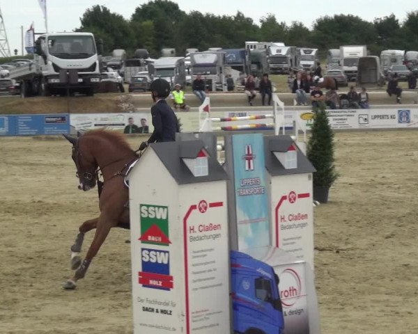 Reitturnier Heinsberg 2017