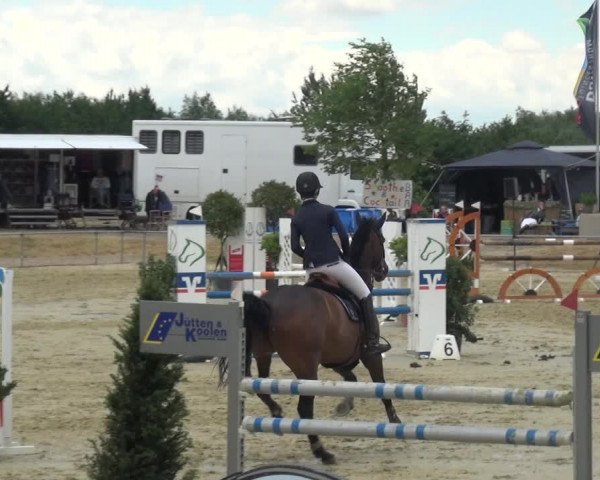 Reitturnier Heinsberg 2017
