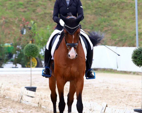 dressage horse Lassida 2 (Rhinelander, 2006, from Lissabon 29)