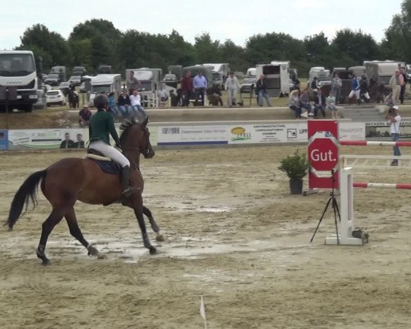 Reitturnier Heinsberg 2017