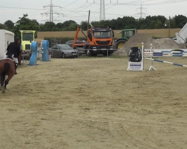 Reitturnier Heinsberg 2017