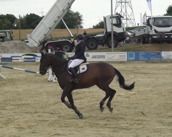 Reitturnier Heinsberg 2017