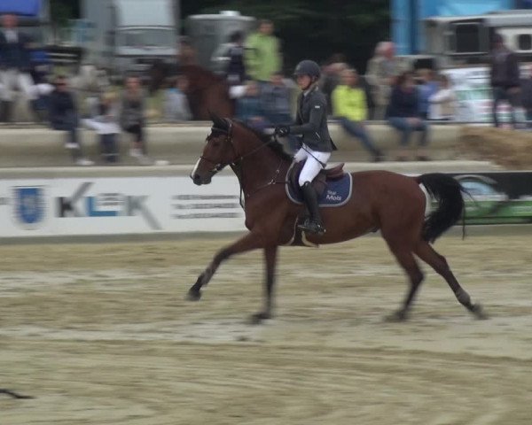 Reitturnier Heinsberg 2017