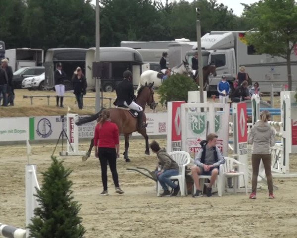 Reitturnier Heinsberg 2017